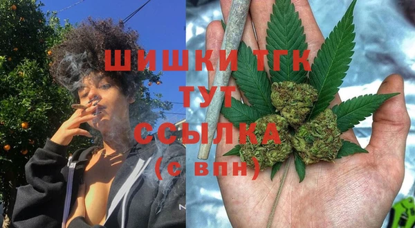 хмурый Протвино