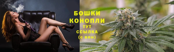 стафф Дегтярск